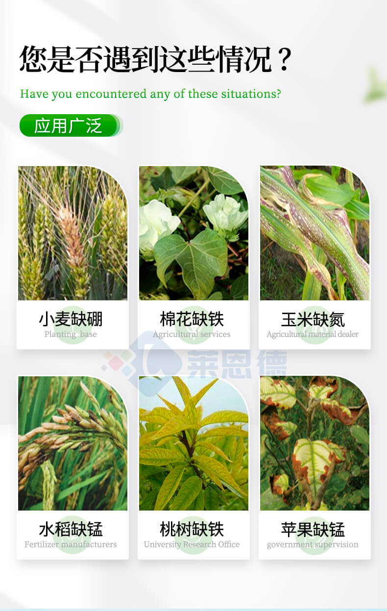 土壤速測儀
