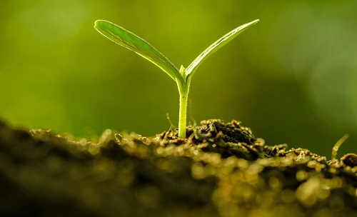 為避免誤導(dǎo)用戶，便攜式土壤水分速測(cè)儀使用需注意