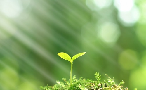 推廣測土配方施肥技術(shù)的有哪些好處？