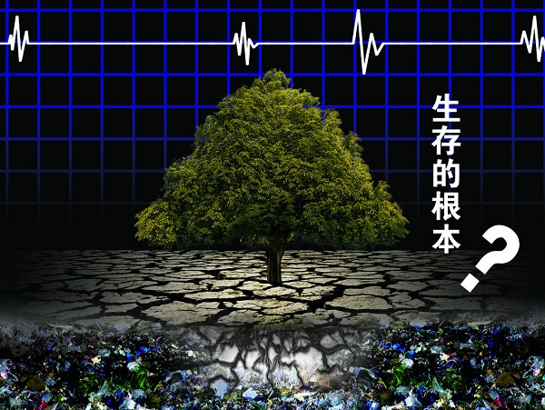 土壤重金屬嚴(yán)重超標(biāo)，土壤修復(fù)離不開土壤檢測(cè)儀
